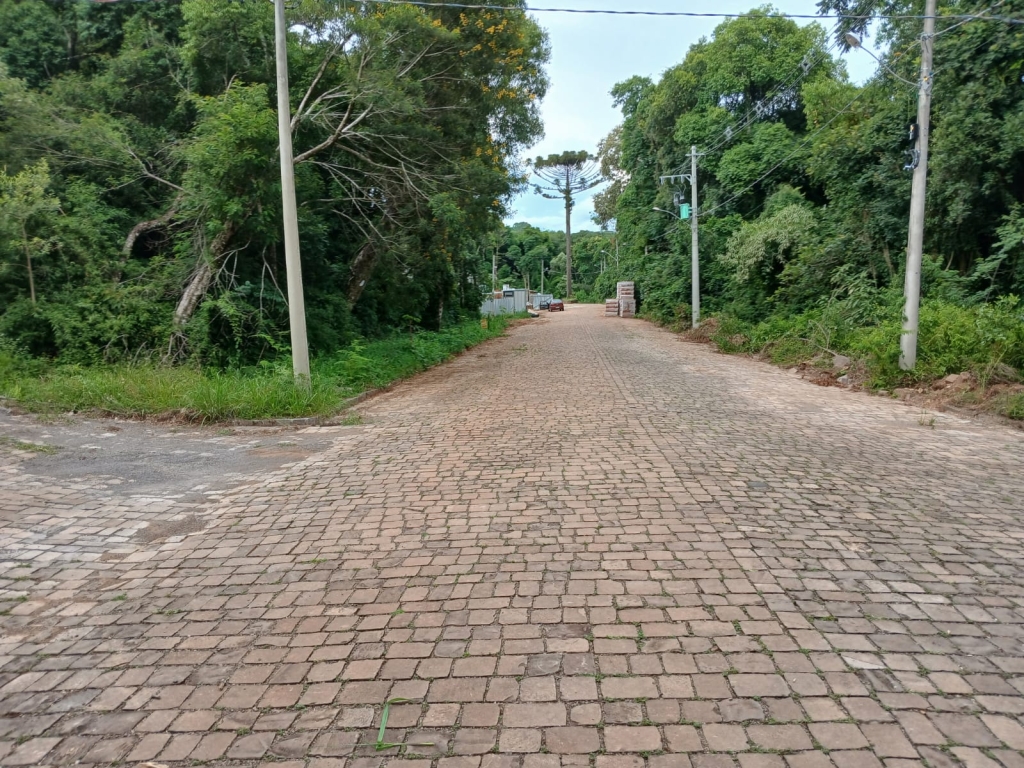 TERRENOS ( LOTEAEMENTO  TOSCANA 1 )