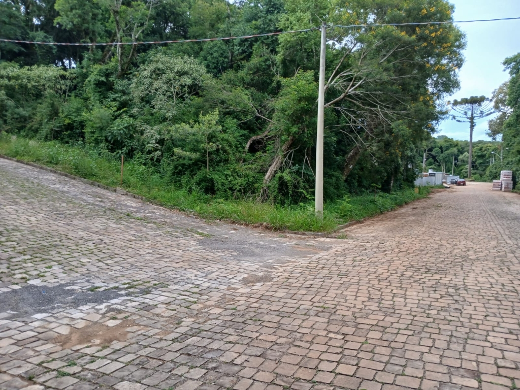 TERRENOS ( LOTEAEMENTO  TOSCANA 1 )